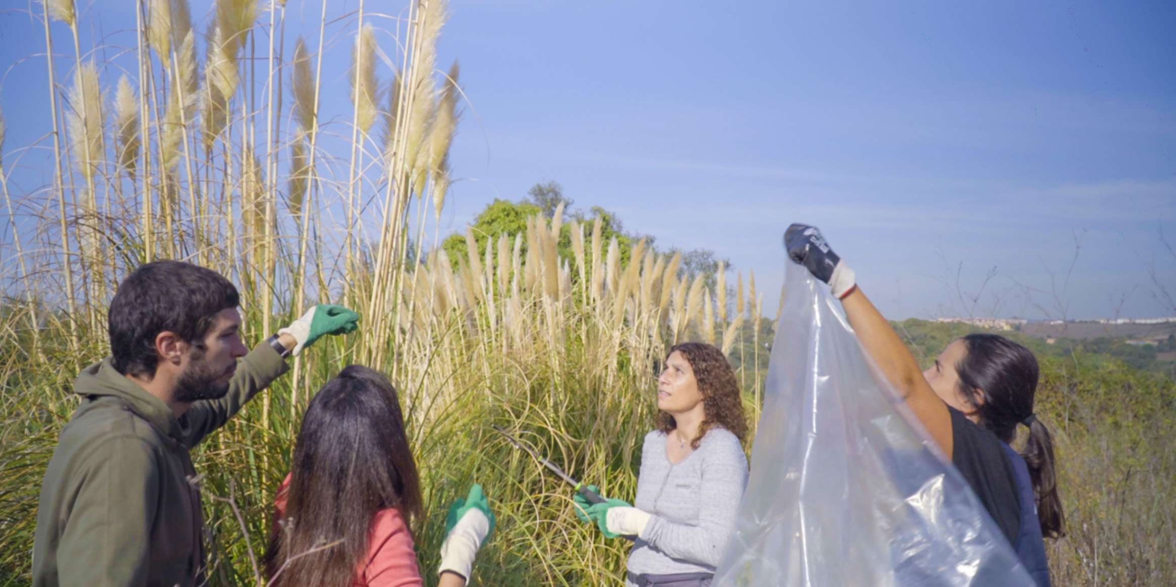 Invasive Exotic Species Removal Action